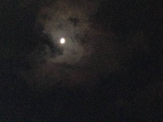 夜の月.JPG