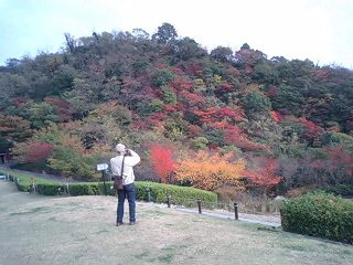 布引ハーブ園2008年11月紅葉を撮る父.jpg